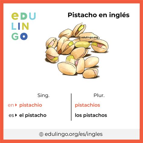 pistachio in tagalog|Pagsasalin 'pistachio' – Diksiyunaryo Ingles.